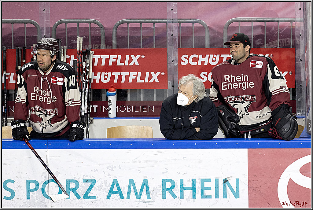 PENNY DEL;  Koelner Haie - Straubing Tigers; Koeln, 14.04.2021